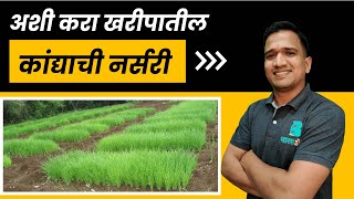 अशी तयार करा खरीपातील कांद्याची नर्सरी | कांदा नर्सरी | Onion nursery | BharatAgri