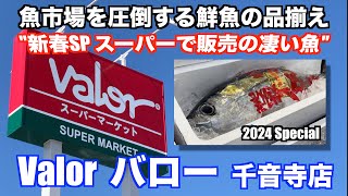 【Valor バロー 千音寺店 新春スペシャル スーパーで販売の凄い魚 魚市場を圧倒する鮮魚の品揃え】あばお 海鮮ちゃんねる #327