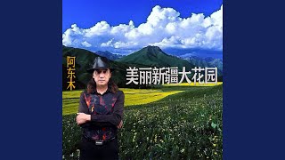 美丽新疆大花园 (DJ2021版伴奏)