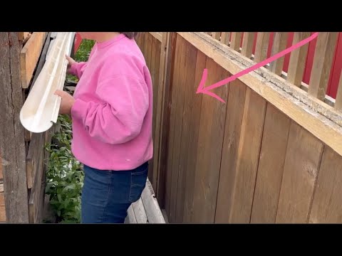 The BRILLIANT new fence idea homeowners are obsessed with!