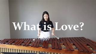 마림바로 연주하는 what is love? - TWICE / Marimba Cover