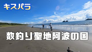 キス数釣り　聖地阿波の国　徳島県　淡島海岸　【本家　阿波釣法の達人たち】