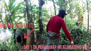 Joebert asor | Day 1 ng paghahanap ng Alingatong Tree | iba ang Nakita ko