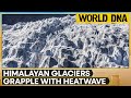 Glaciers melting amid scorching heatwave in Northern India | World DNA | WION