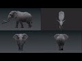 realistic elephant walk cycle