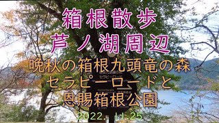 【箱根／芦ノ湖周辺散歩】晩秋の箱根九頭竜の森セラピーロードと恩賜箱根公園