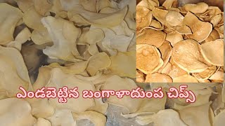 వేసవి ప్రత్యేక బంగాళదుంప చిప్స్  /sun dried potato chips(summer special)