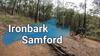 Ironbark (Samford) || Kombi || Whip Snake ||