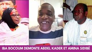 Iba Bocoum démonte Abdel Kader et Amina Sidibé !