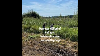 Kompetente Landschaftspflege im Naturschutzgebiet mit Demeterbauer Müller.