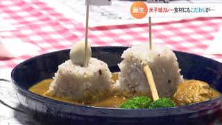 18万石だから18穀米　誕生！米子城カレー　食材にもこだわりが…