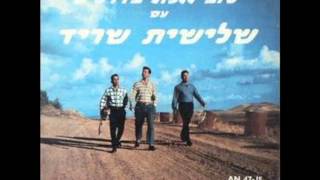 שלישיית שריד   בגליל בתל חי 1964 מעלה דודי פטימר