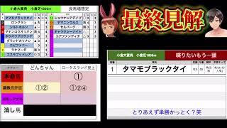 【競馬予想】小倉大賞典2025|全頭調教診断と買い目、最終見解