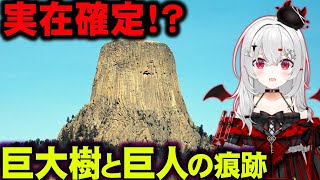 世界樹は存在していた！？各地で発見される巨人と巨木の証拠...。【 都市伝説 ユグドラシル 】