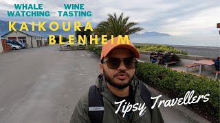 Kaikoura Whale Watching and Cloudy Bay Winery | South Island New Zealand | Tipsy Travellers |