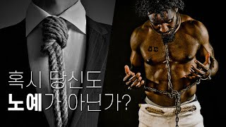 혹시 당신도 노예가 아닌가? (ft.자유의 움직임 카포에라)