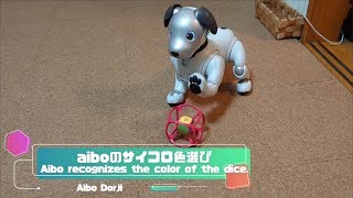 aiboのサイコロ色選び🎲🐕 - Aibo recognizes the color of the dice. 【アイボ】