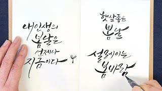 캘리그라피 붓펜 연습 | '봄' 관련 문구 연습하기 | 내 인생의 봄 날은 언제나 지금이다