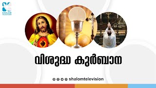 Holy Mass | വിശുദ്ധ കുർബാന | Fr.Antony Dominic Figarado | ShalomTV