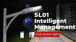 Huadian lighting | SL01 intelligent management LED street light