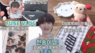 [온앤오프ONF/퓨즈브이로그FuseVlog] 난 천송이쓰🌹 퓨즈인디...💡(공백기 퓨즈의 일상)