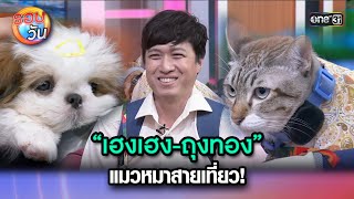 “เฮงเฮง-ถุงทอง” แมวหมาสายเที่ยว! | Highlight Ep.327 | รอบวัน | 16 ต.ค. 67 | one31