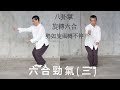 【六合勁氣】（三）   #中国武术 #气功#形意拳 #八卦掌 #修行#太極拳#氣功#武術#kungfu #xingyiquan#baguazhang#MartialArts