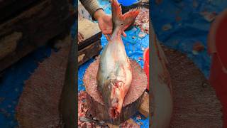 Amazing! Cutting Skills || Giant Pangush Fish Cutting by Expert Cutter 😦😱 || #shorts #cuttingskills