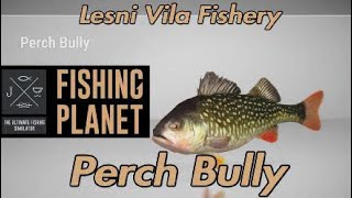 Perch Bully Monster Fish - Lesni Vila Fishery - Fishing Planet Guide