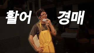 [방씨로그_17화] 경매서는 중매인 (feat. 두줄촉수어, 옥돔, 민어, 농어)