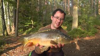 Karpfenangeln am neuen Waldsee