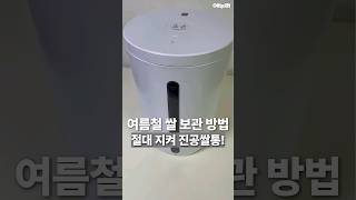 여름철 쌀 보관 방법! 절대 지켜 진공쌀통! 쌀벌레 걱정마~