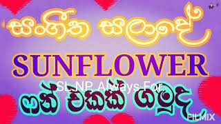 SUNFLOWER SALADE |  සන්ෆ්ලවර් සලාදේ | අහලා බලලා හොඳ fun එකක් ගමුද