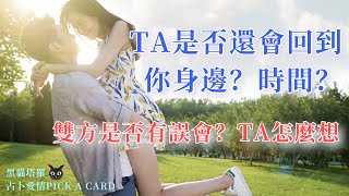 黑貓塔羅💘TA是否還會回到你身邊？時間？🌎雙方是否有誤會？TA怎麼想