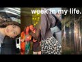 little bits of the week | dashain shopping w mamu, test drives & forced skincare