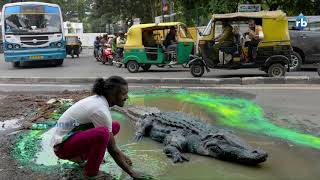 എക്‌സ്‌ക്യൂസ് മീ... ഇതൊരു റോഡാണ് കേട്ടോ...