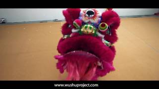 Toronto Lion Dance - Wushu Project - Practice Series Video 3