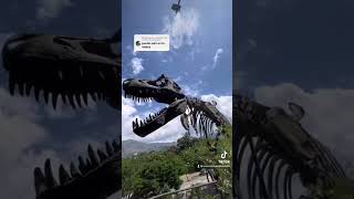 Parque Explora , Medellín . Dinosaurios en parque explora.