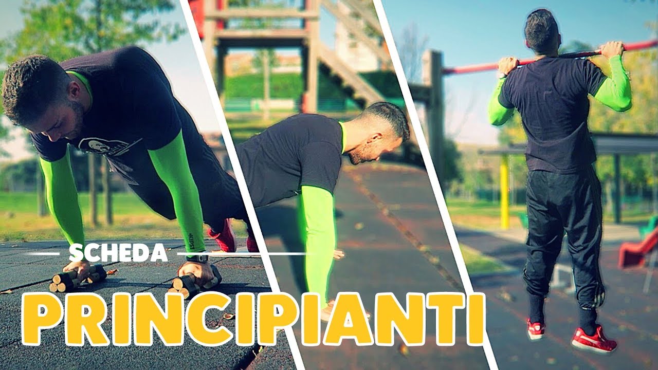 SCHEDA CALISTHENICS PER PRINCIPIANTI | ESERCIZI BASE | Diario ...