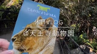 【休日vlog】@新世界、天王寺動物園