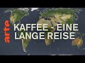 Der lange Weg des Kaffees | Mit offenen Karten | ARTE