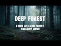 Deep Forest | 1 Hour Shamanic Relaxing Forest Tungur Music