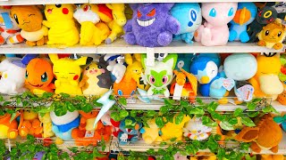 【トイプラネット】ポケモンおもちゃコーナーショッピング フィギュア,ぬいぐるみ,メザスタ,ポケカ