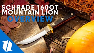 Schrade 160OT Old Timer Mountain Lion | Knife Overview