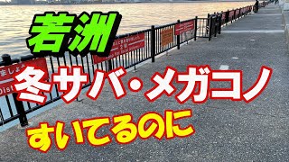 若洲海浜公園　冬釣り【まったり釣り道楽】トリックサビキ