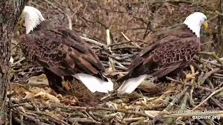 Decorah Eagles (North Nest): 2024.12.31