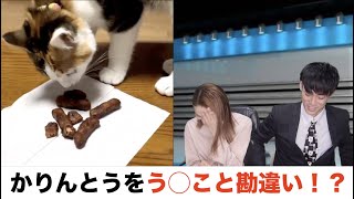 【猫の珍行動】にツボる壺浅壺男キャスターと女子アナ