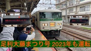 東海道線 足利大藤まつり号 185系B-6 大船駅発車シーン