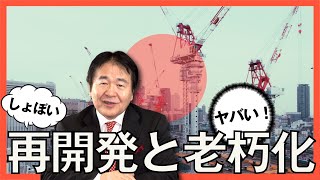 日本の都市開発はこれでいいのか？整備された都市が魅力的か!?それ森もやばいインフラは？