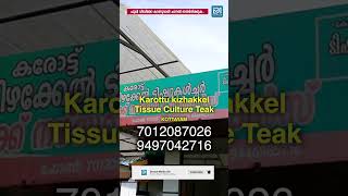 കേരളത്തിൽ എവിടേക്കും തേക്കിൻ തൈ അയച്ചു കൊടുക്കും .... #shorts